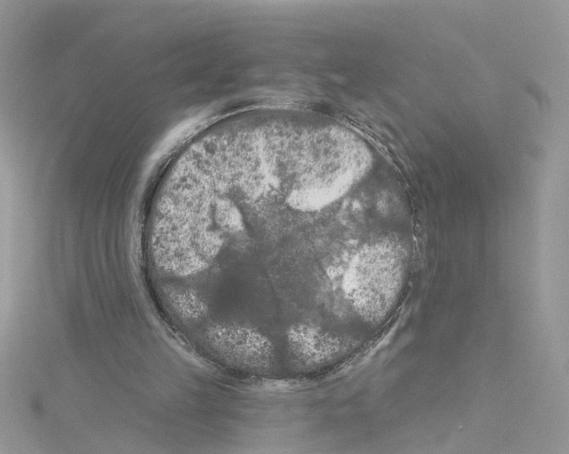 X0000114080149200911161023