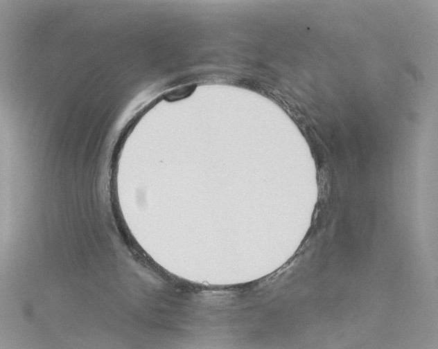 X0000114080150200911161023