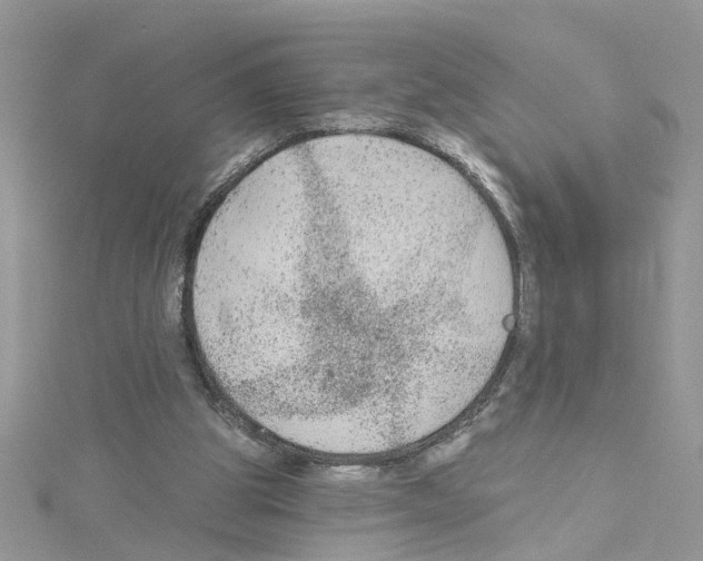 X0000114080153200911161023