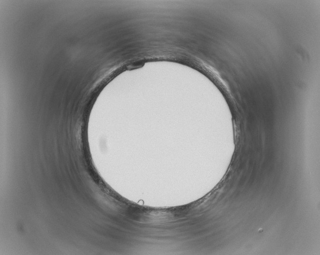 X0000114080154200911161023