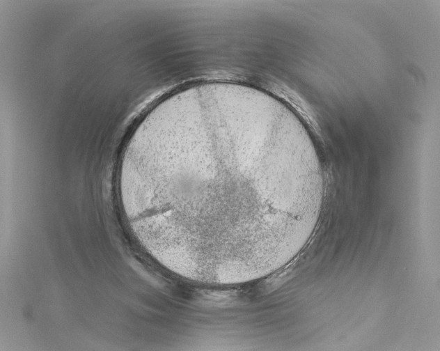 X0000114080155200911161023