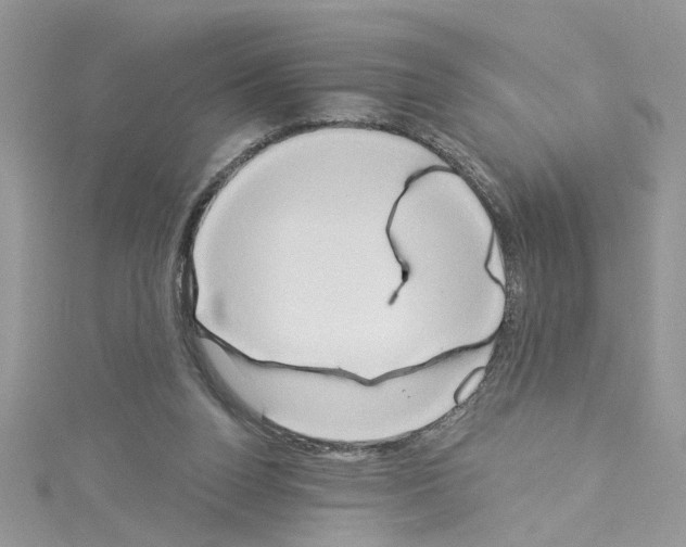 X0000114080160200911161023