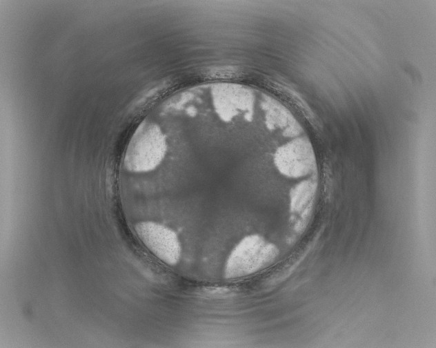 X0000114080161200911161023