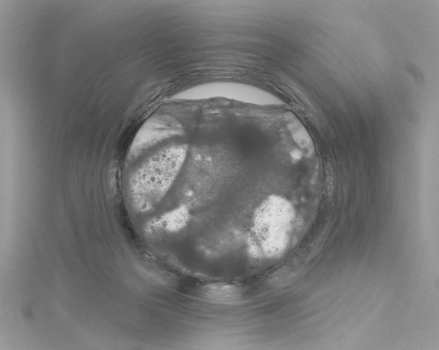 X0000114080169200911161024