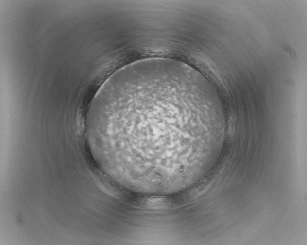 X0000114080173200911161024