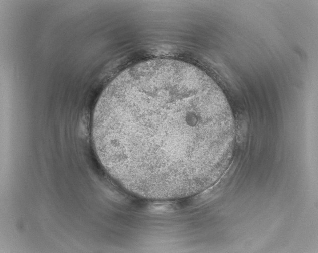 X0000114080175200911161024