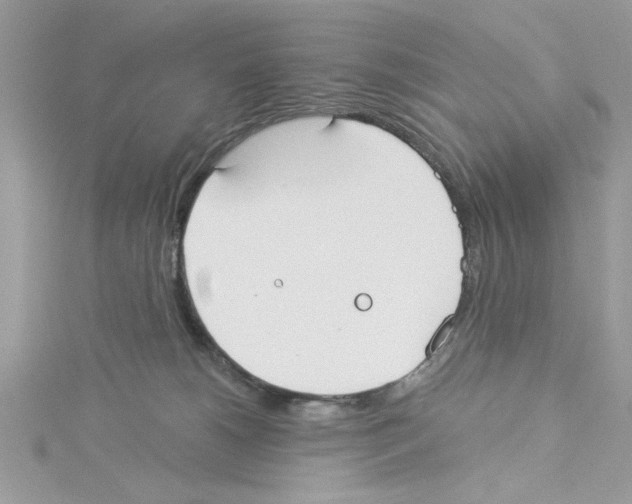 X0000114080180200911161024