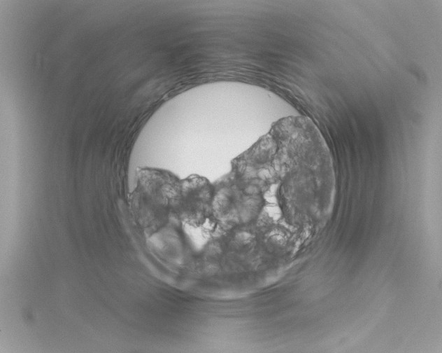 X0000114080181200911161024