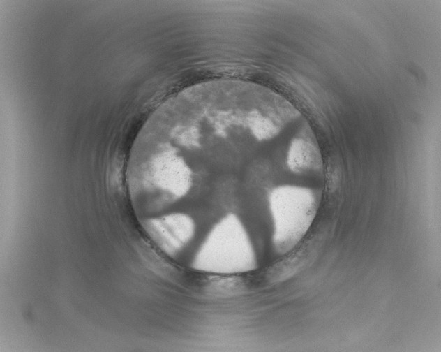 X0000114080185200911161024