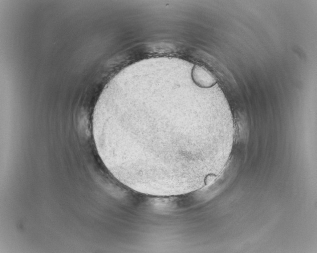 X0000114080187200911161024