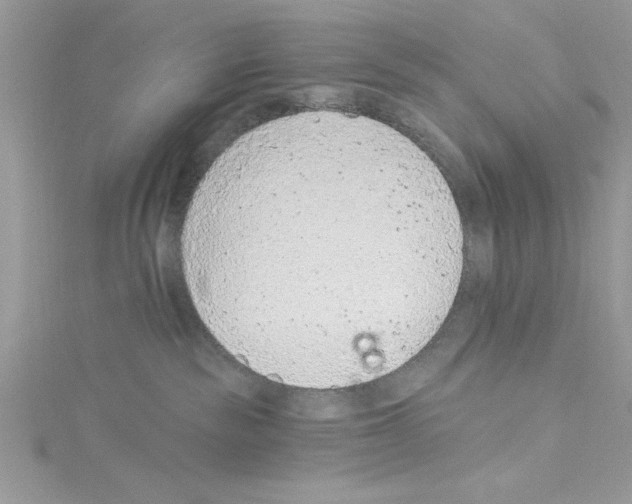 X0000114080189200911161024