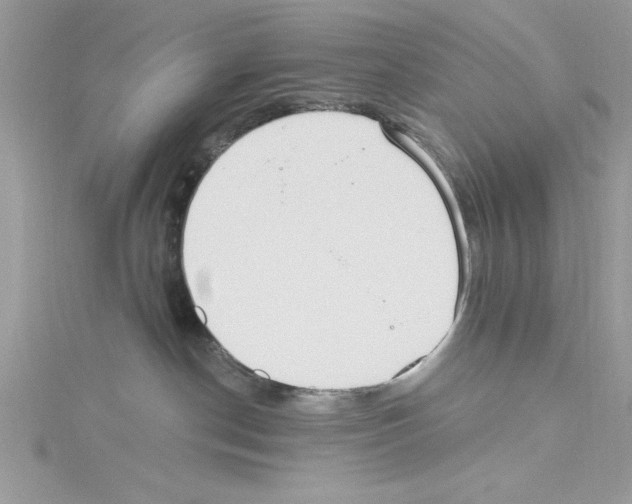 X0000114080190200911161024