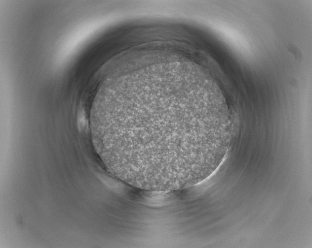 X0000114080191200911161024