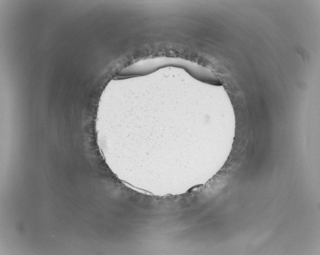 X0000114080192200911161024