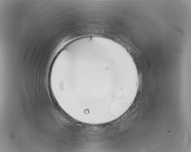 X0000114080195200911161023