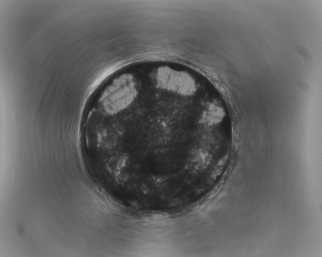 X0000114080196200911161023