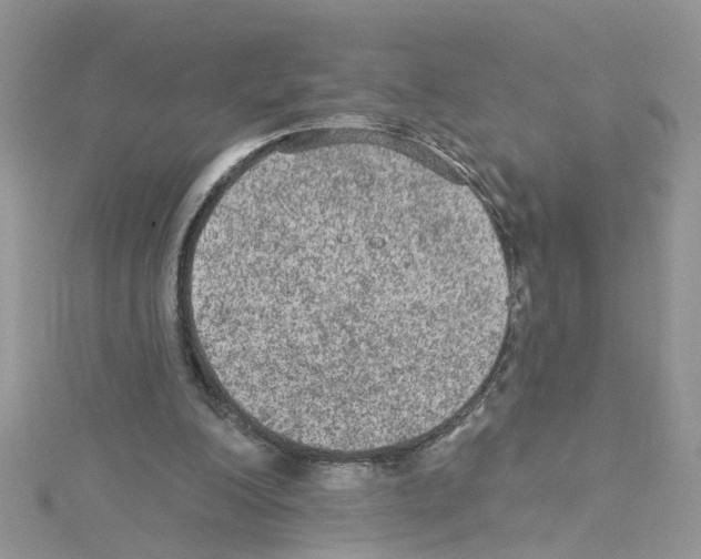 X0000114080200200911161023