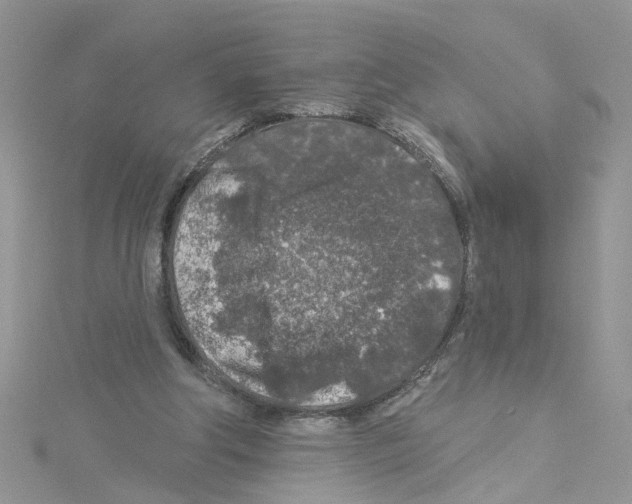 X0000114080202200911161023