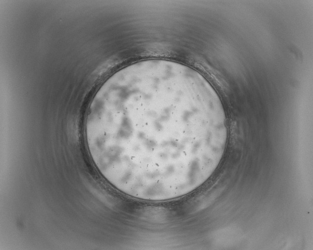 X0000114080203200911161023