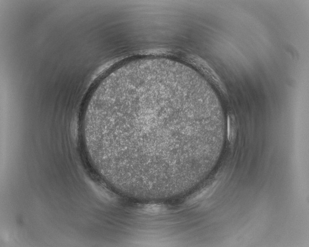 X0000114080204200911161023