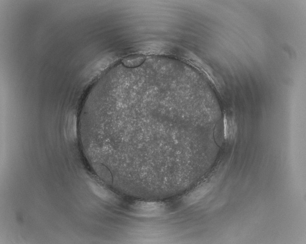 X0000114080205200911161023