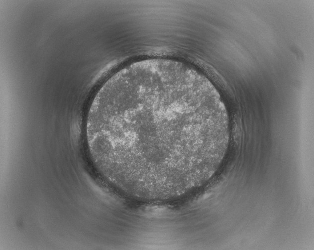 X0000114080208200911161023