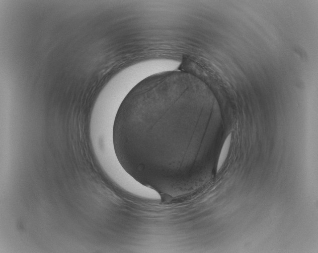 X0000114080219200911161023