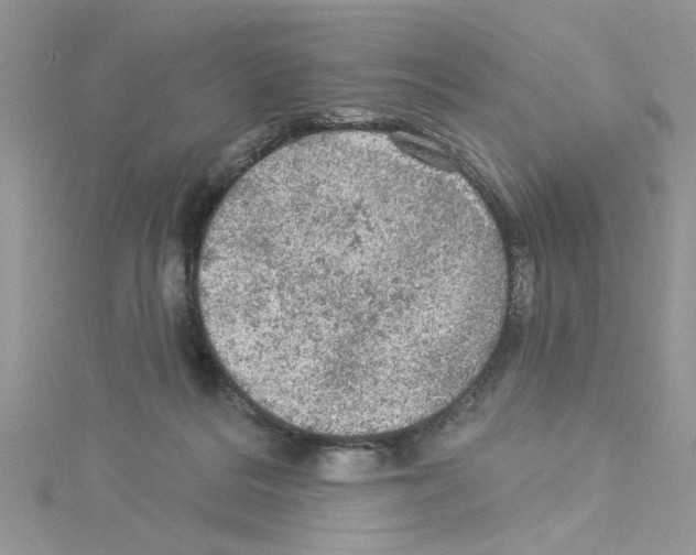 X0000114080220200911161023