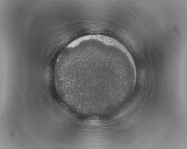 X0000114080228200911161023