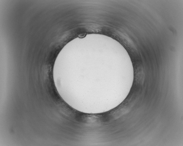 X0000114080229200911161023