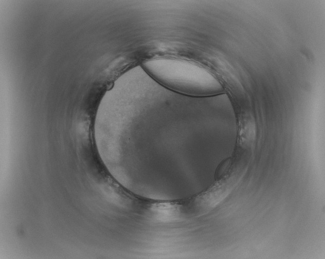 X0000114080231200911161023