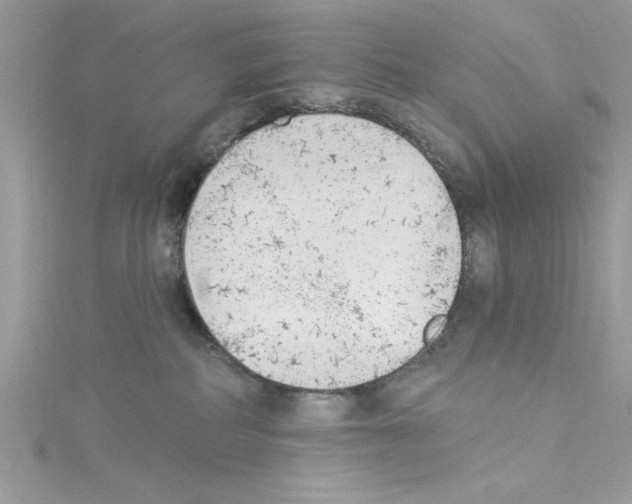 X0000114080234200911161023