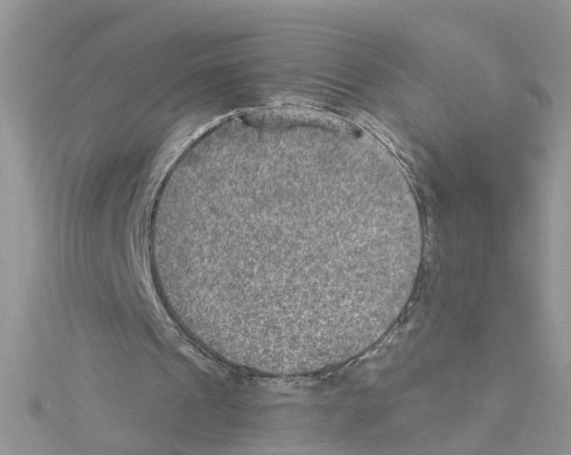 X0000114080241200911161022