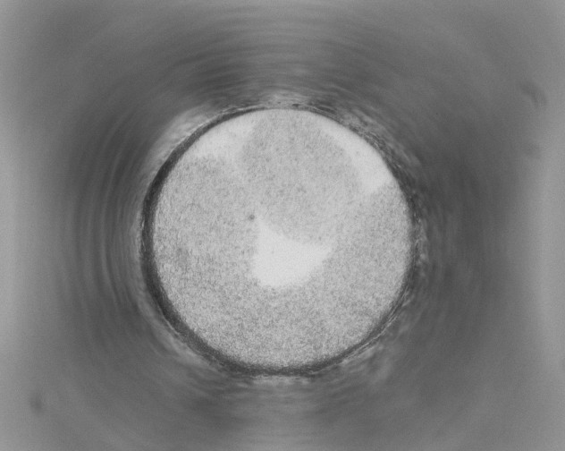 X0000114080242200911161022