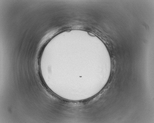 X0000114080245200911161022