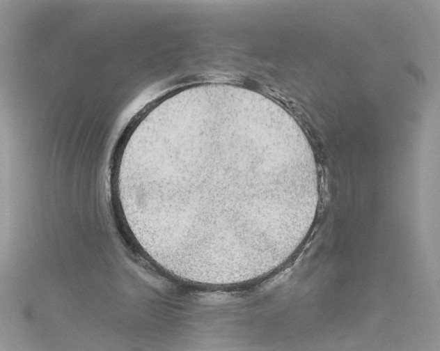 X0000114080246200911161022