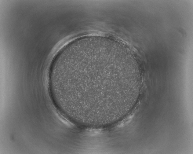 X0000114080247200911161022