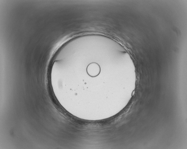 X0000114080248200911161022