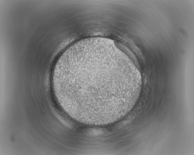 X0000114080250200911161022