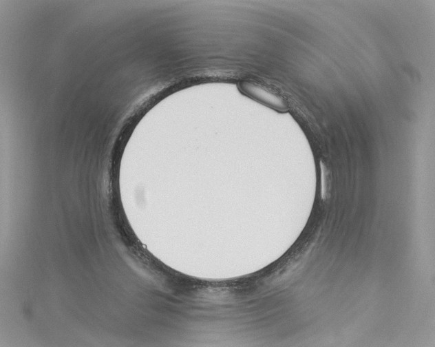 X0000114080252200911161022