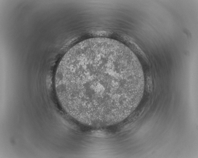 X0000114080259200911161022