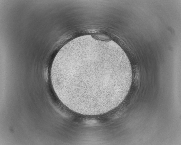 X0000114080262200911161022