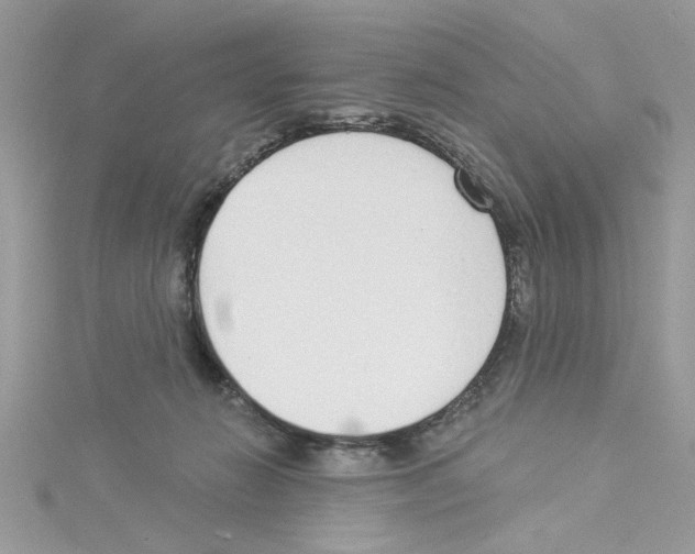 X0000114080270200911161022