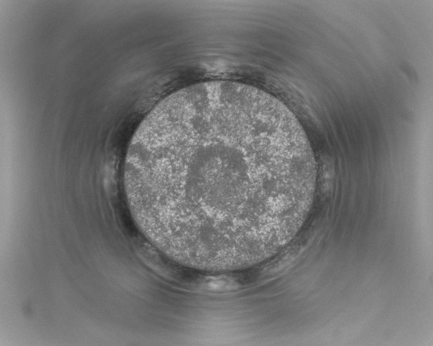 X0000114080275200911161022