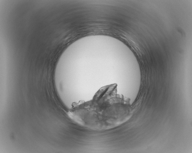 X0000114080277200911161022