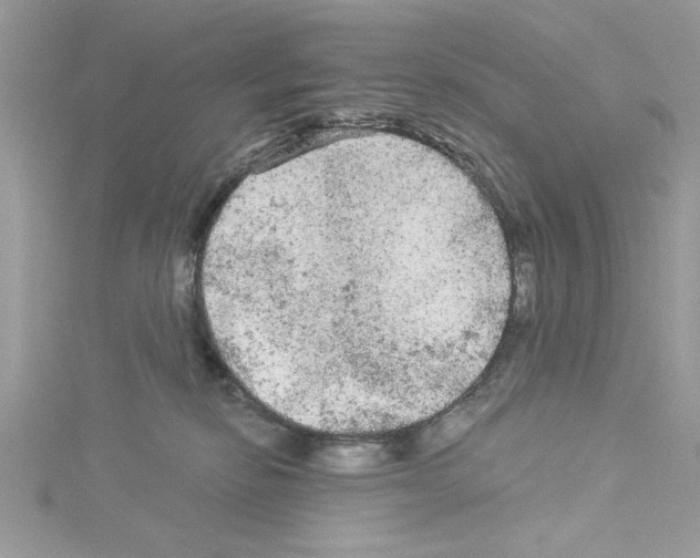 X0000114080278200911161022