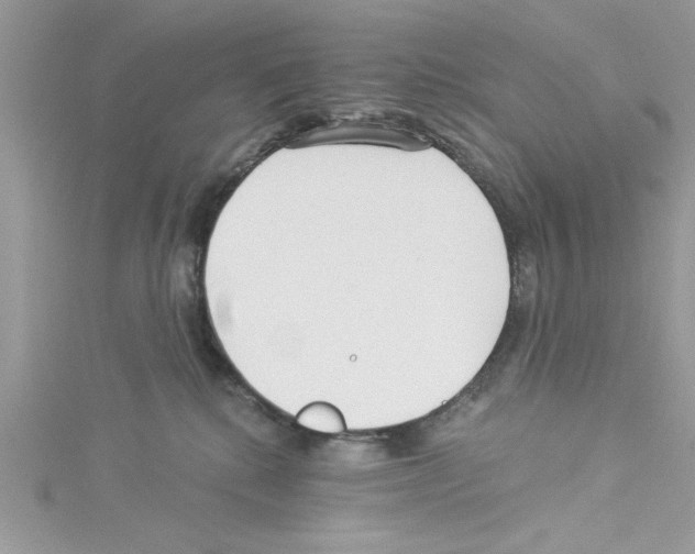 X0000114080280200911161022