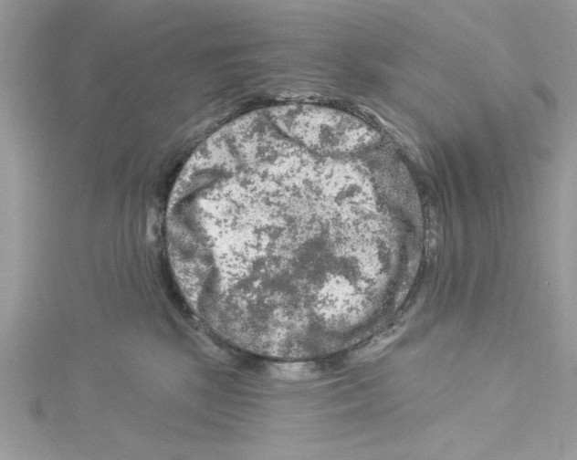 X0000114080281200911161022