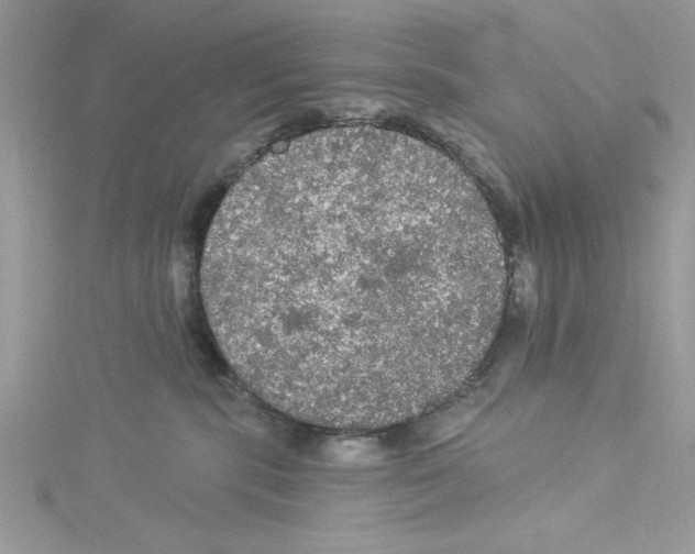 X0000114080283200911161023