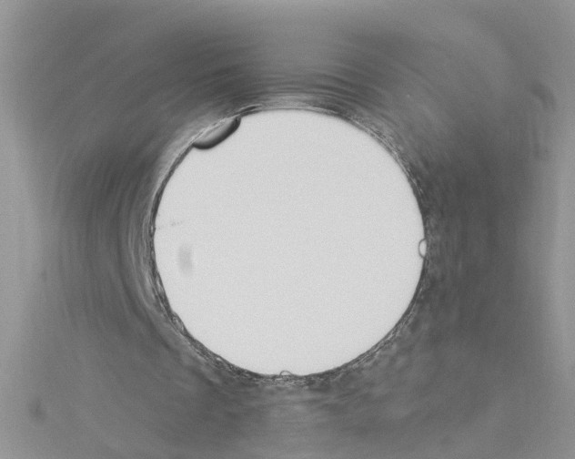 X0000114080289200911161022